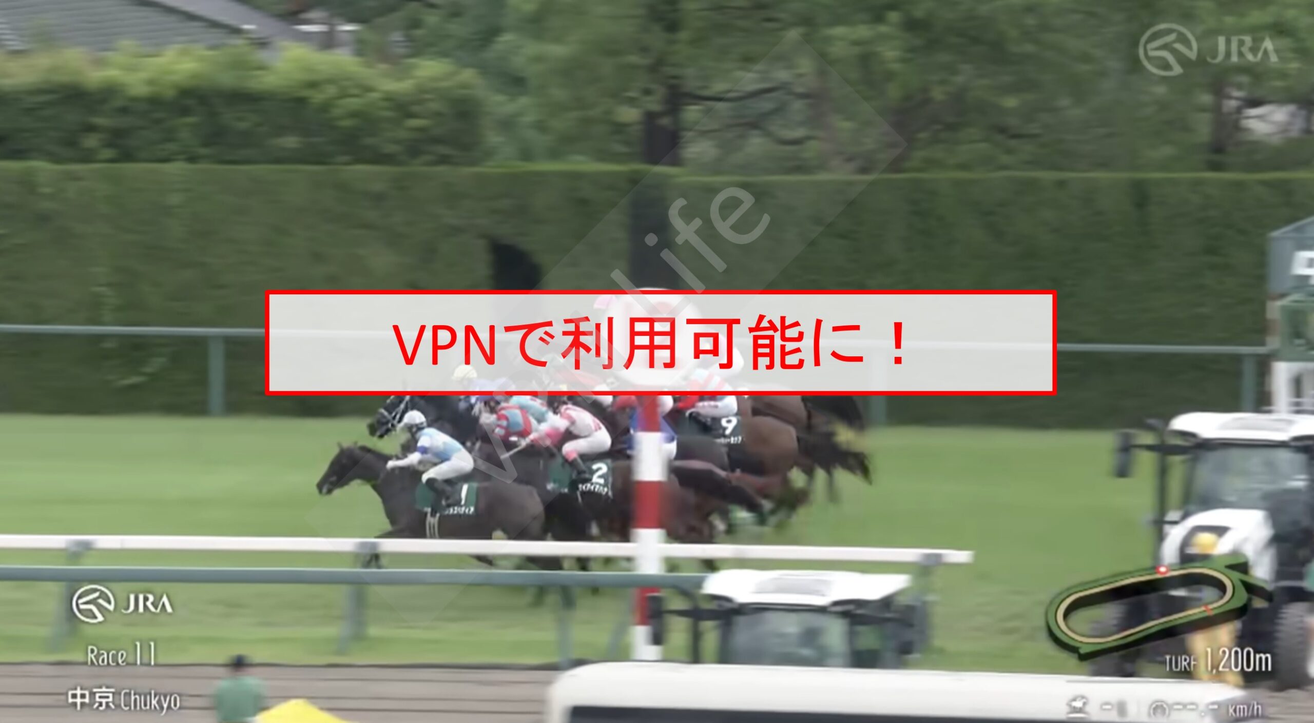 VPNならJRAレース動画のネット配信も視聴可能に